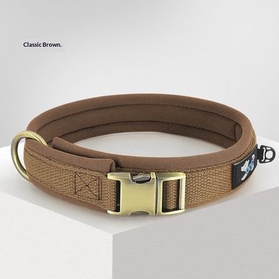 Placa de identificación antipérdida para perros Golden Retriever y Labrador, collar para mascotas