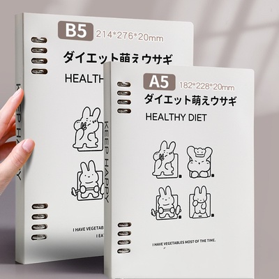 Cuaderno de espiral suelta B5, cuaderno desmontable