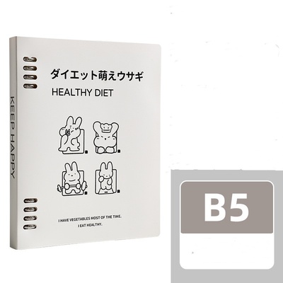 Cuaderno de espiral suelta B5, cuaderno desmontable
