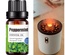 Aceite esencial puro 10ml para difusor de aroma