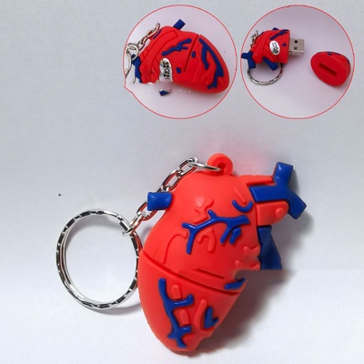 Memoria USB de Órganos Humanos 64G: Cerebro Potente, Labios Sellados, Boca, Vaso Sanguíneo, Riñón, Pulmón, Médula Cerebral, Corazón Rojo.