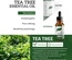 Aceite esencial de árbol de té Firstsun