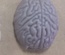 Memoria USB de Órganos Humanos 64G: Cerebro Potente, Labios Sellados, Boca, Vaso Sanguíneo, Riñón, Pulmón, Médula Cerebral, Corazón Rojo.