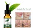 Aceite esencial de árbol de té Firstsun