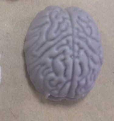 Memoria USB de Órganos Humanos 64GB: Cerebro Potente, Labios Sellados, Boca, Vaso Sanguíneo, Riñón, Pulmón, Médula Cerebral, Corazón Rojo. - Brain-8GB