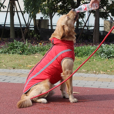 Ropa para perros al por mayor: Chaqueta de invierno acolchada, cálida y reflectante para Labrador.