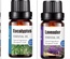 Aceite esencial puro 10ml para difusor de aroma