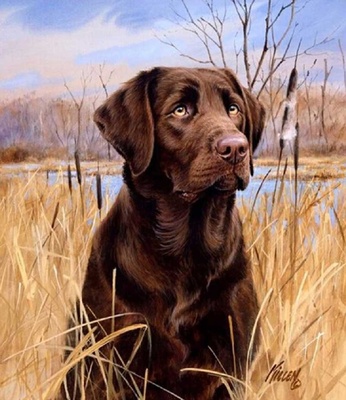 Pintura de diamante 5D DIY, diseño de perro, pintura de diamante con cristales, punto de cruz, adorable perro labrador, manualidades de animales, decoración para el hogar. - 30x35