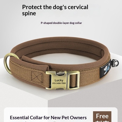 Placa de identificación antipérdida para perros Golden Retriever y Labrador, collar para mascotas