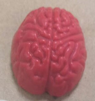 Memoria USB de Órganos Humanos 64G: Cerebro Potente, Labios Sellados, Boca, Vaso Sanguíneo, Riñón, Pulmón, Médula Cerebral, Corazón Rojo.