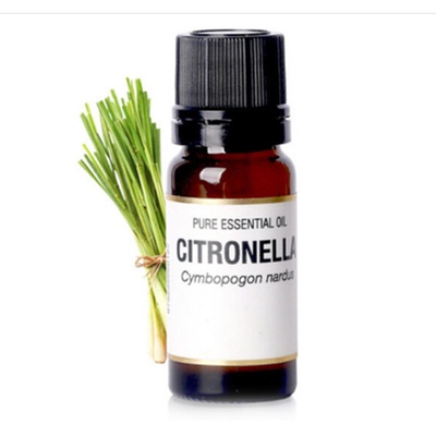 Aceite esencial de limoncillo