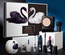 Set de Maquillaje Cisne Blanco y Negro: Incluye Cushion BB Cream, Polvos de Maquillaje y Labial. Caja de regalo de siete piezas para principiantes.