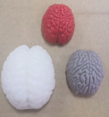 Memoria USB de Órganos Humanos 64G: Cerebro Potente, Labios Sellados, Boca, Vaso Sanguíneo, Riñón, Pulmón, Médula Cerebral, Corazón Rojo.
