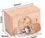 Memoria USB en Botella de los Deseos de Madera