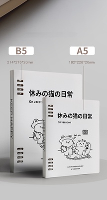 Cuaderno de espiral suelta B5, cuaderno desmontable