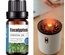 Aceite esencial puro 10ml para difusor de aroma
