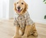 Ropa para perros grandes, suéter de lana dorada para Labrador, camisa para mascotas de tamaño mediano.
