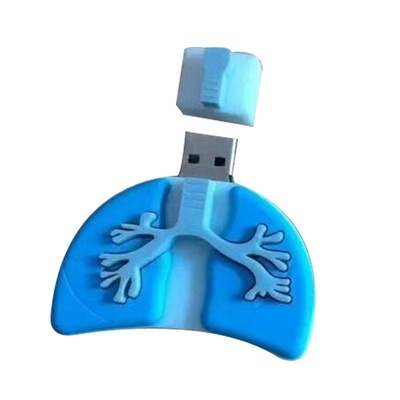 Memoria USB de Órganos Humanos 64G: Cerebro Potente, Labios Sellados, Boca, Vaso Sanguíneo, Riñón, Pulmón, Médula Cerebral, Corazón Rojo.