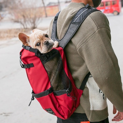 Mochila transportadora para perros, bolso transportador para perros, mochila de doble hombro, mochila de viaje portátil, bolso transportador para perros al aire libre.