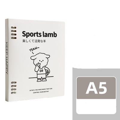 Cuaderno de espiral suelta B5, cuaderno desmontable