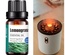 Aceite esencial puro 10ml para difusor de aroma