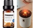 Aceite esencial puro 10ml para difusor de aroma