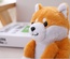 Muñeco parlante eléctrico de Pomerania y Shiba Inu