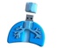 Memoria USB de Órganos Humanos 64G: Cerebro Potente, Labios Sellados, Boca, Vaso Sanguíneo, Riñón, Pulmón, Médula Cerebral, Corazón Rojo.