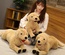 Peluche de cachorro Labrador de simulación, muñeco de perro amarillo grande, muñeco de Golden Retriever acostado, regalo de compañía para niños