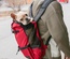 Mochila transportadora para perros, bolso transportador para perros, mochila de doble hombro, mochila de viaje portátil, bolso transportador para perros al aire libre.